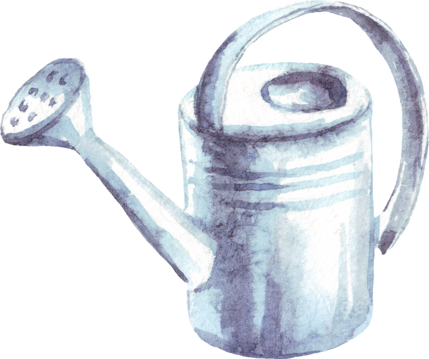a watercolor painting of a watering can