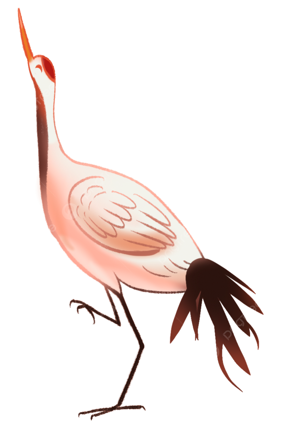 a drawing of a bird on a white background