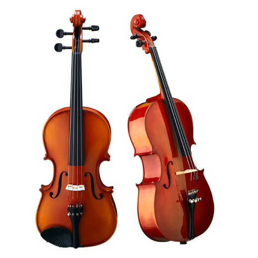two violins on a white background