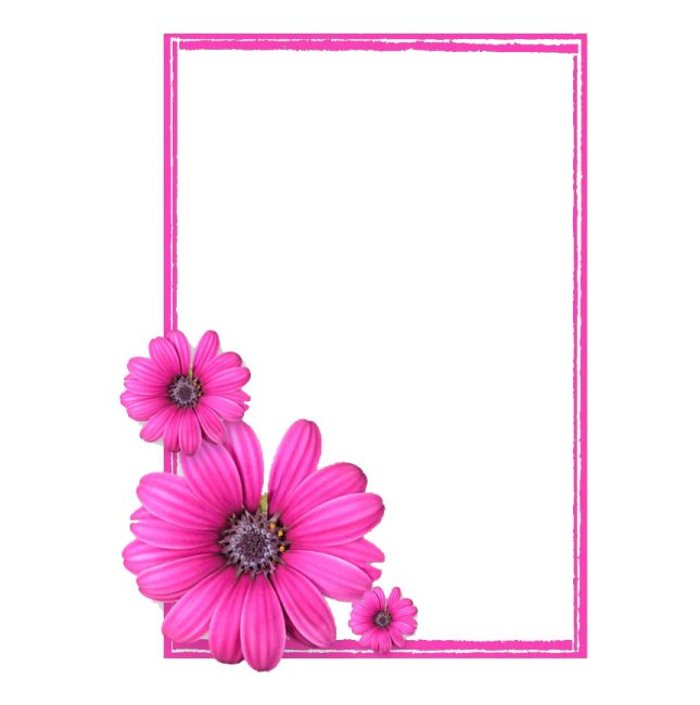 a frame with pink flowers on it