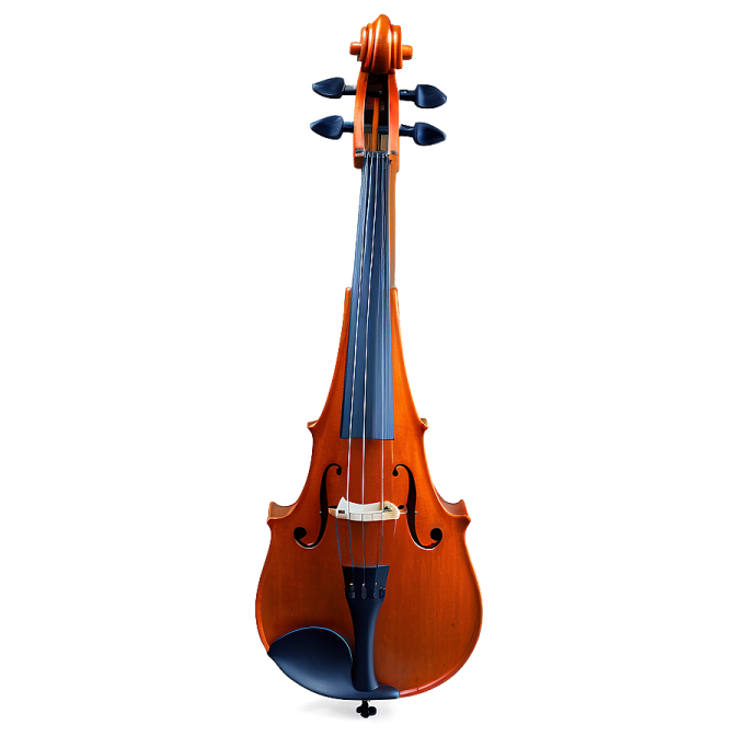 a violin on a white background