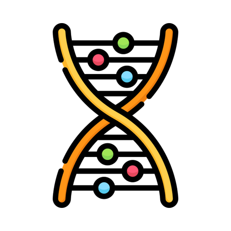 an icon of a dna chromosome