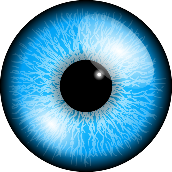 an image of a blue eye