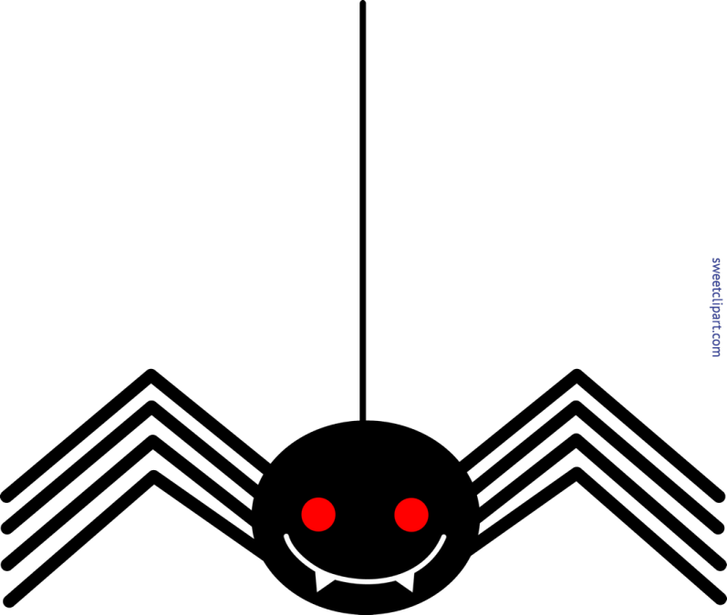 a black and white spider with red eyes