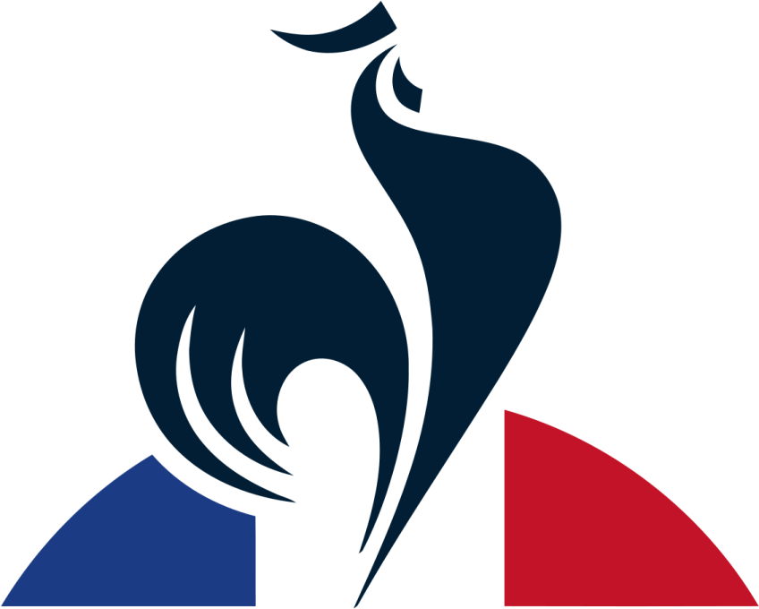 the logo of the french national football team