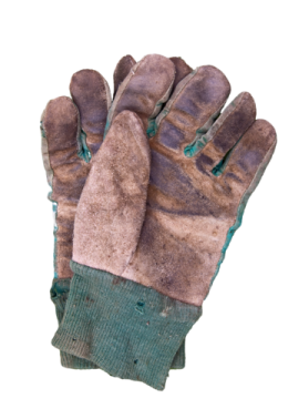 a pair of gloves on a white background