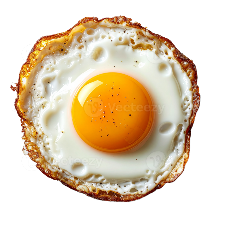 a fried egg on a white background