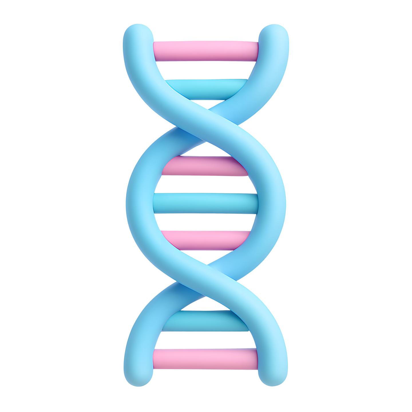 a blue and pink double helix chromosome