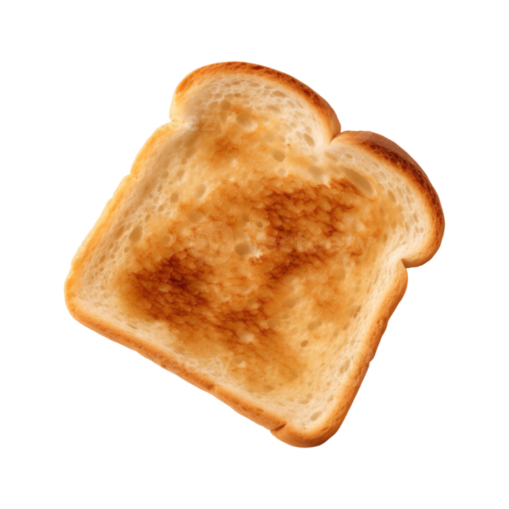 a piece of toasted bread on a white background