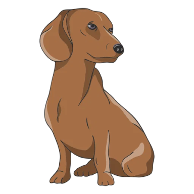 a brown dog sitting down on the ground