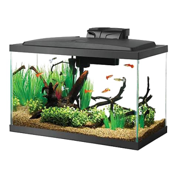 a fish tank filled with water and plants