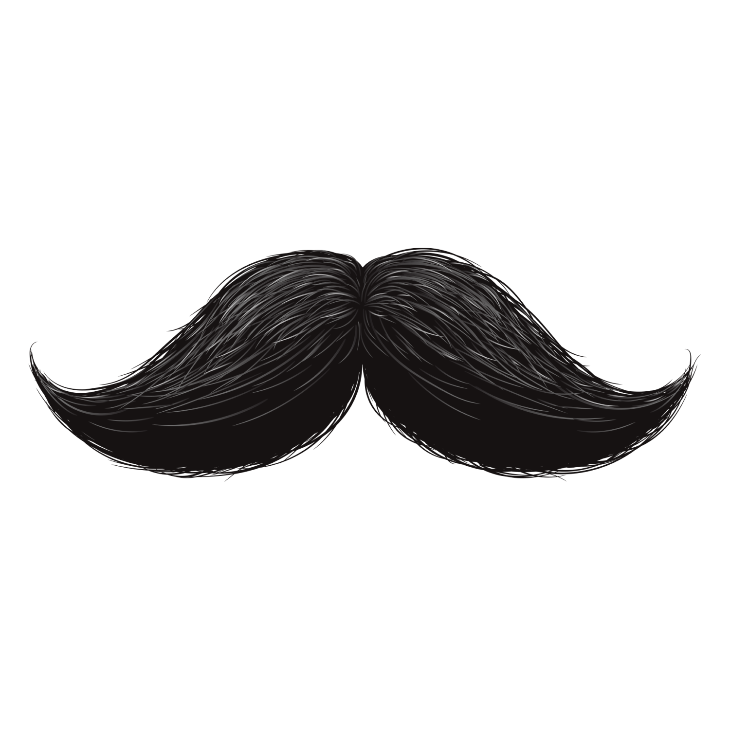 a black mustache on a white background