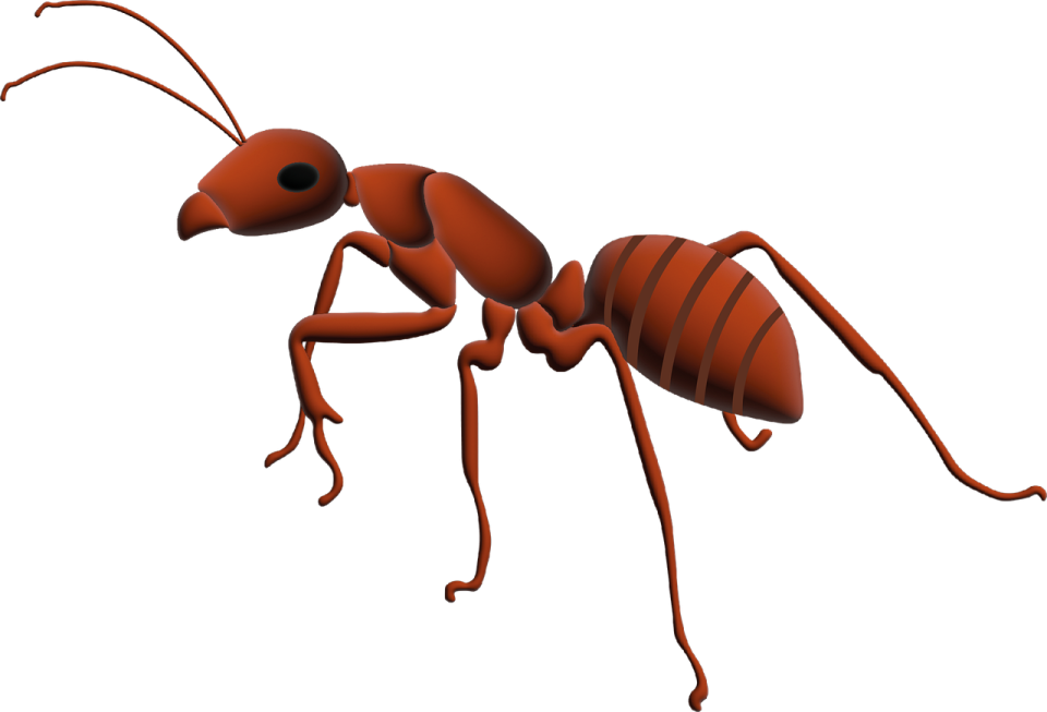 A 3d rendering of an ant