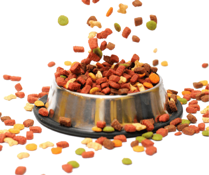 a metal bowl filled with dog food
