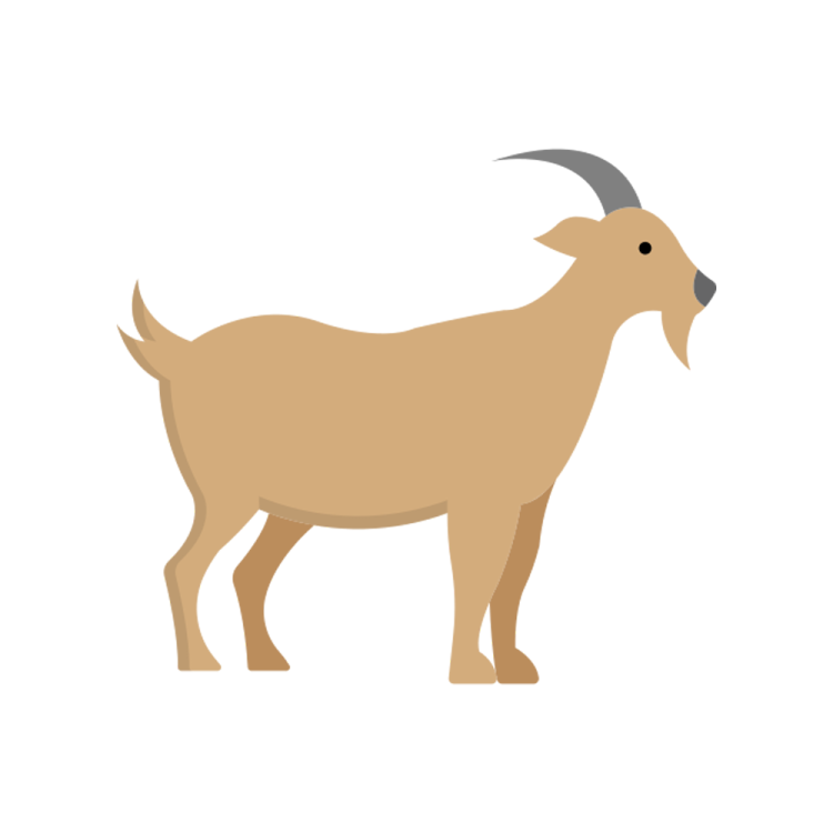 a brown goat standing on a white background