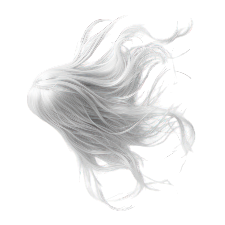 a drawing of a woman's hair