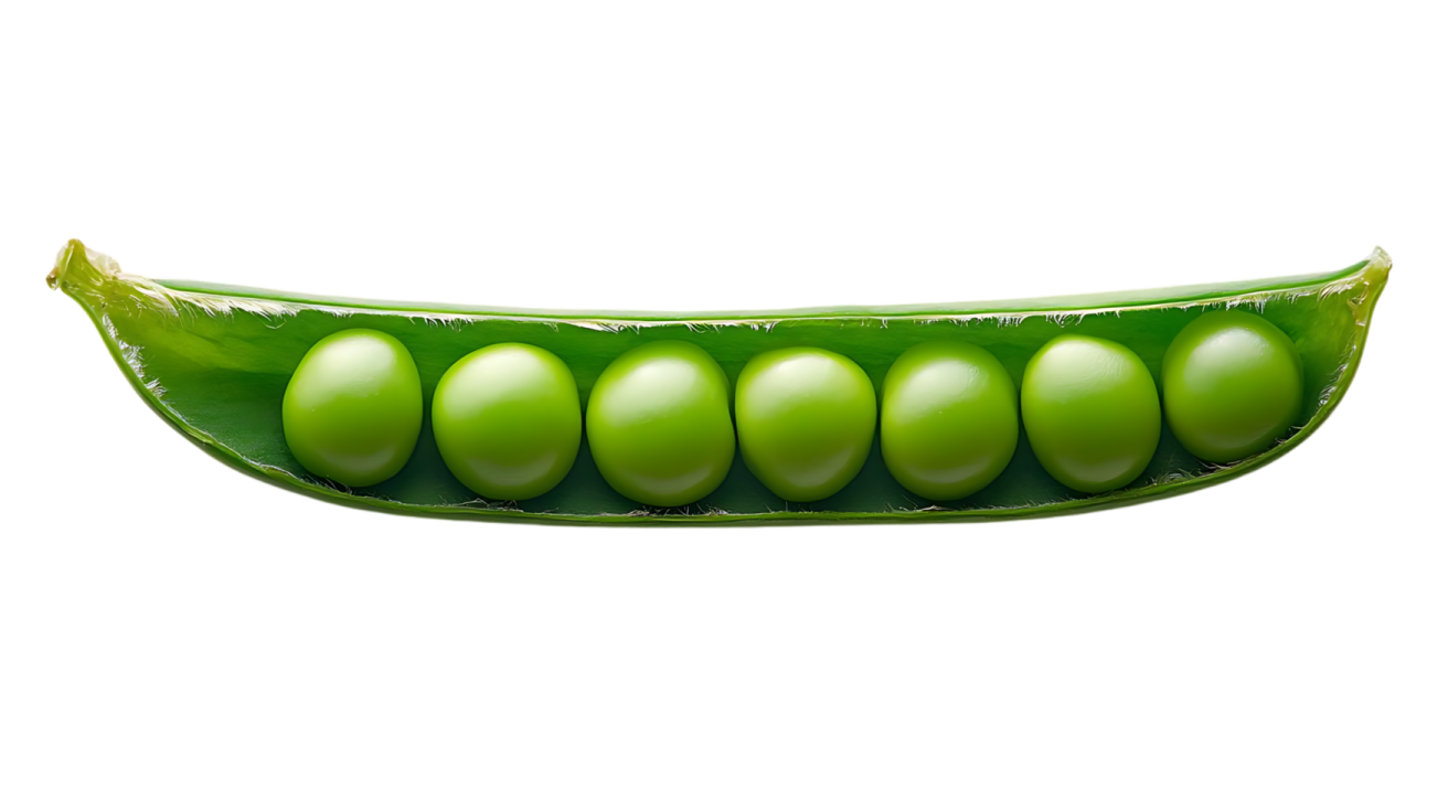 a green peas pod on a white background