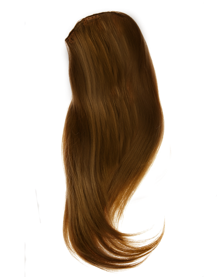 a long brown hair