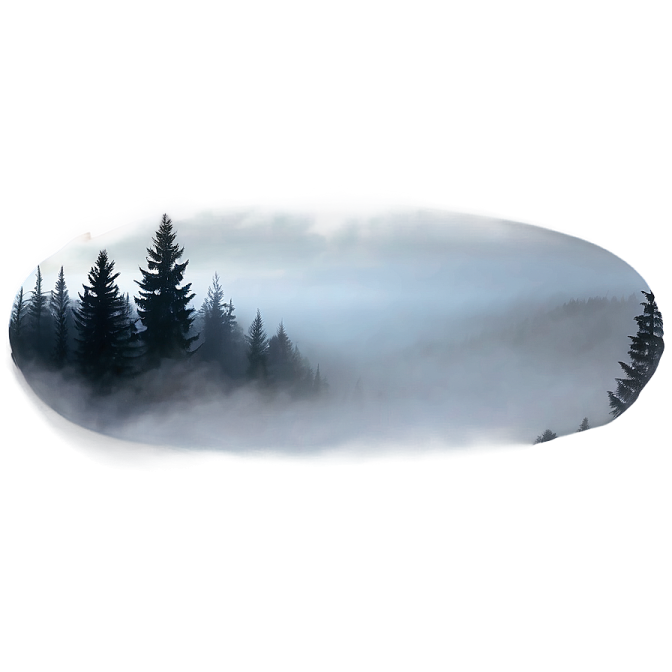 a black and white image of trees in the fog