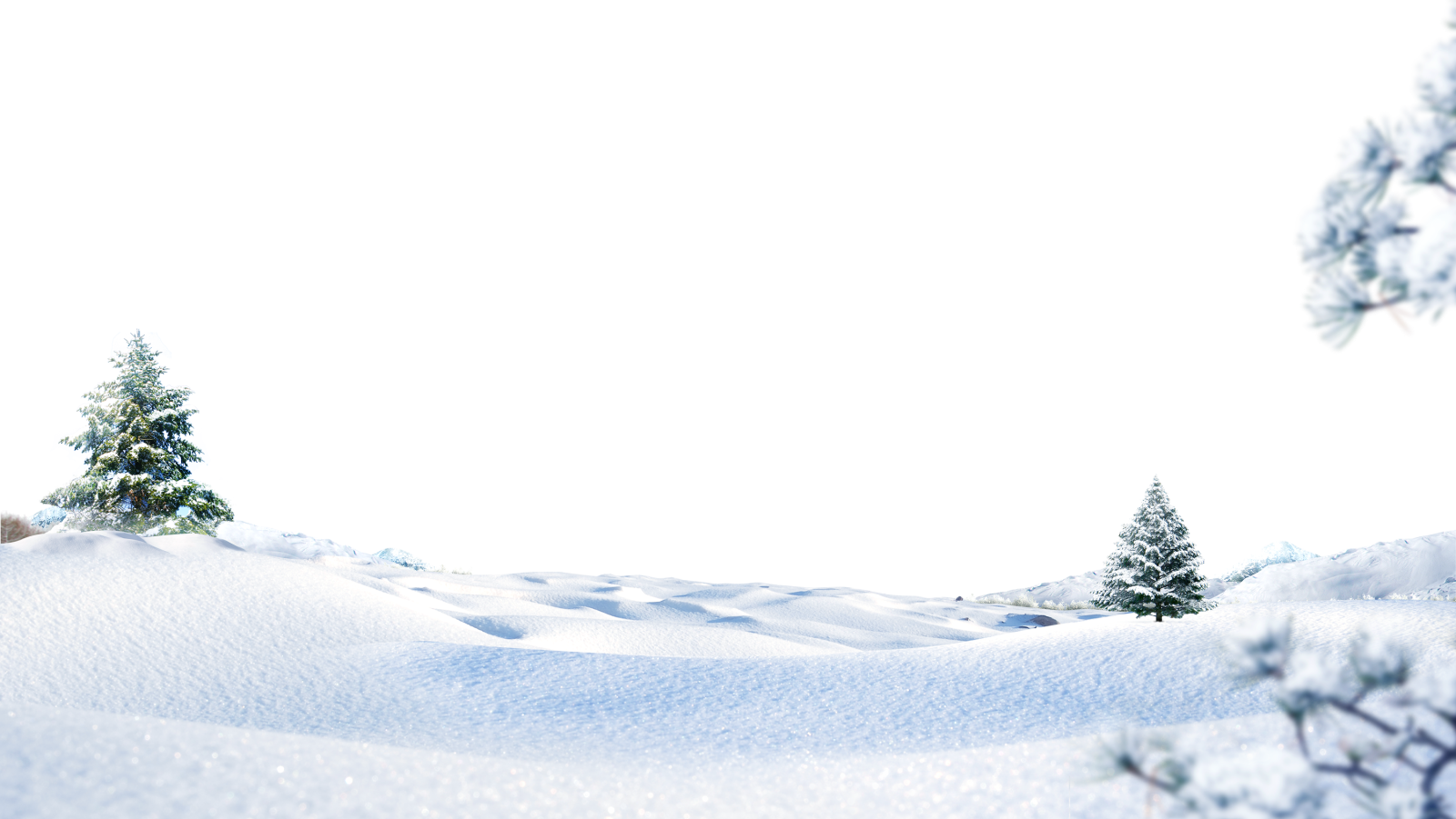 a picture of a snowy landscape with trees