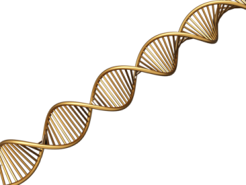 an illustration of a double helix dna