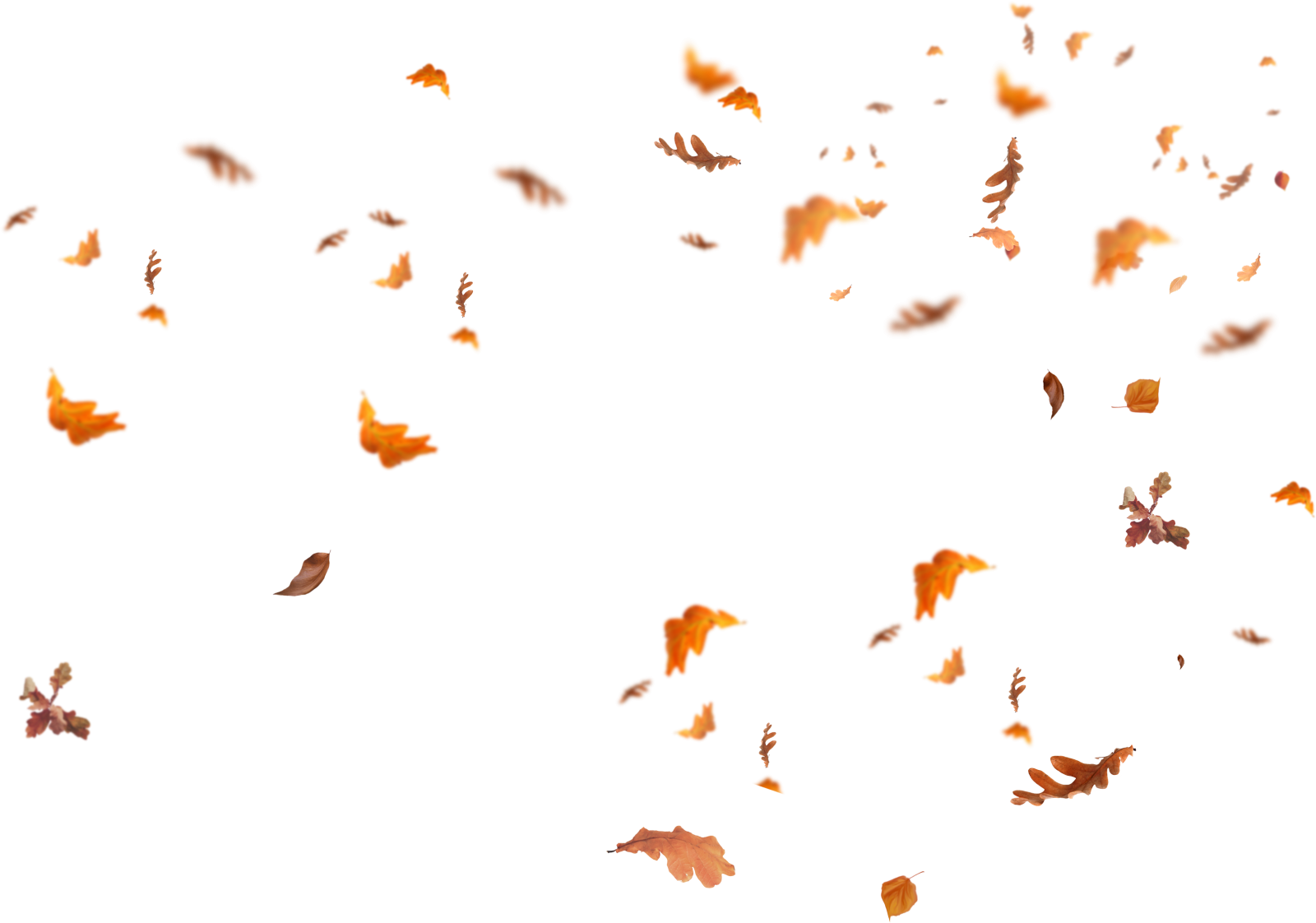 a group of falling leaves in the air