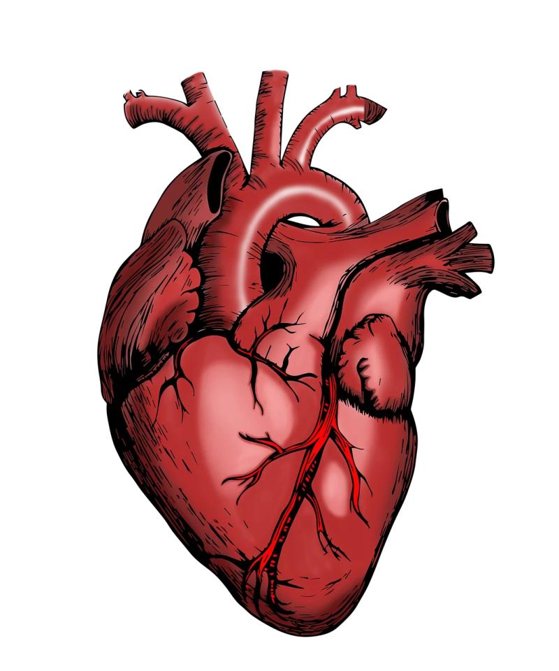 a red heart with an arrow in the middle