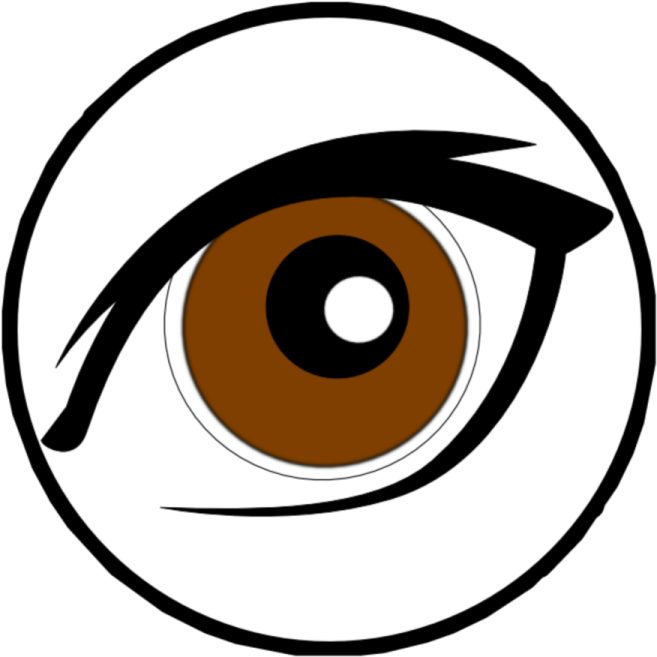 an image of a brown eye