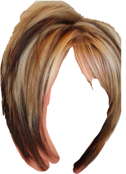 a woman's hair with blonde and brown highlights