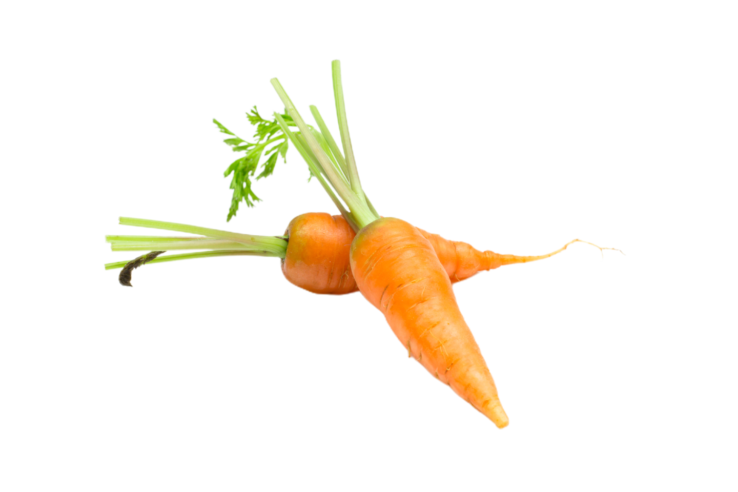 a bunch of carrots on a white background