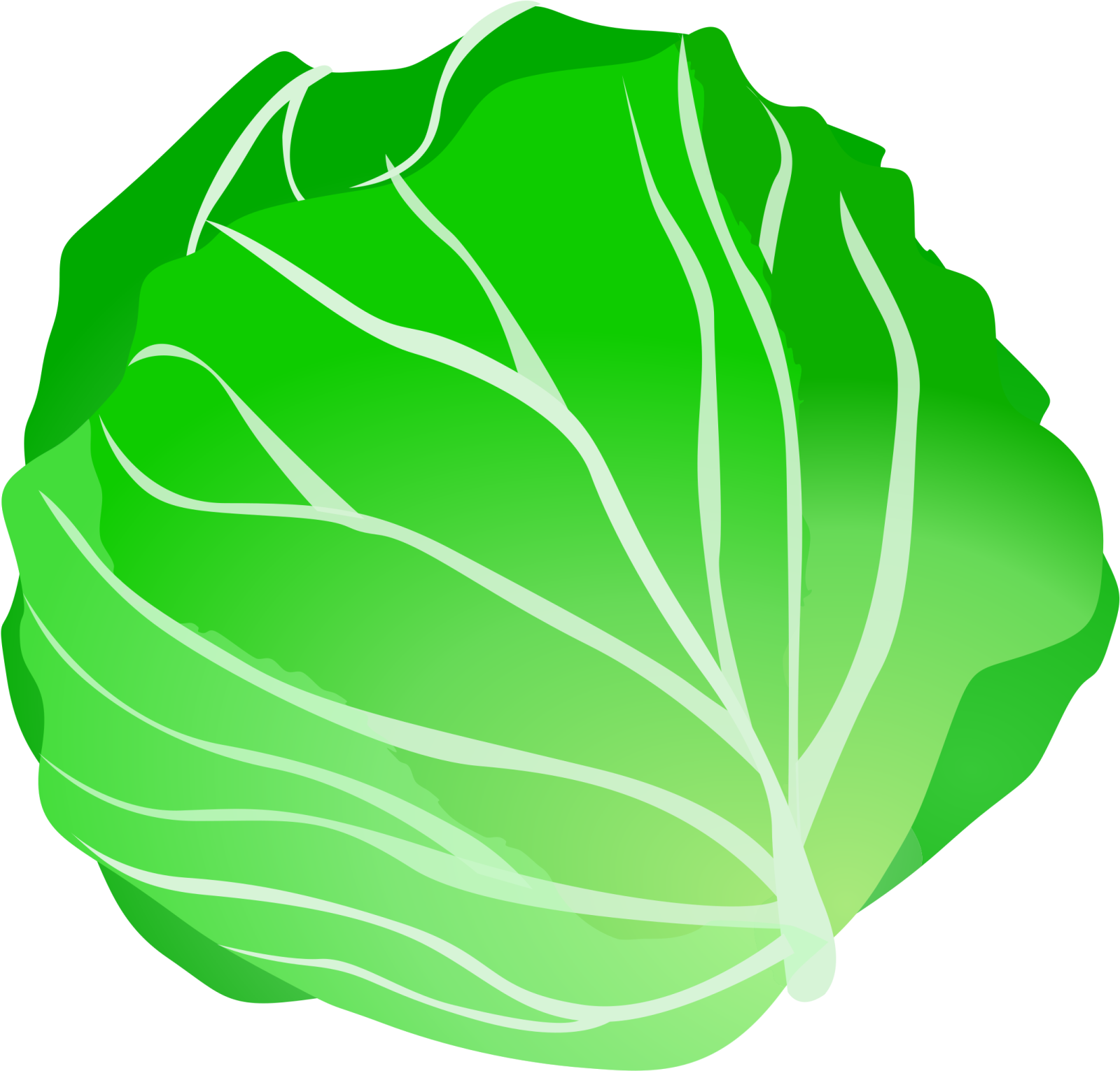 a green leaf with white stripes