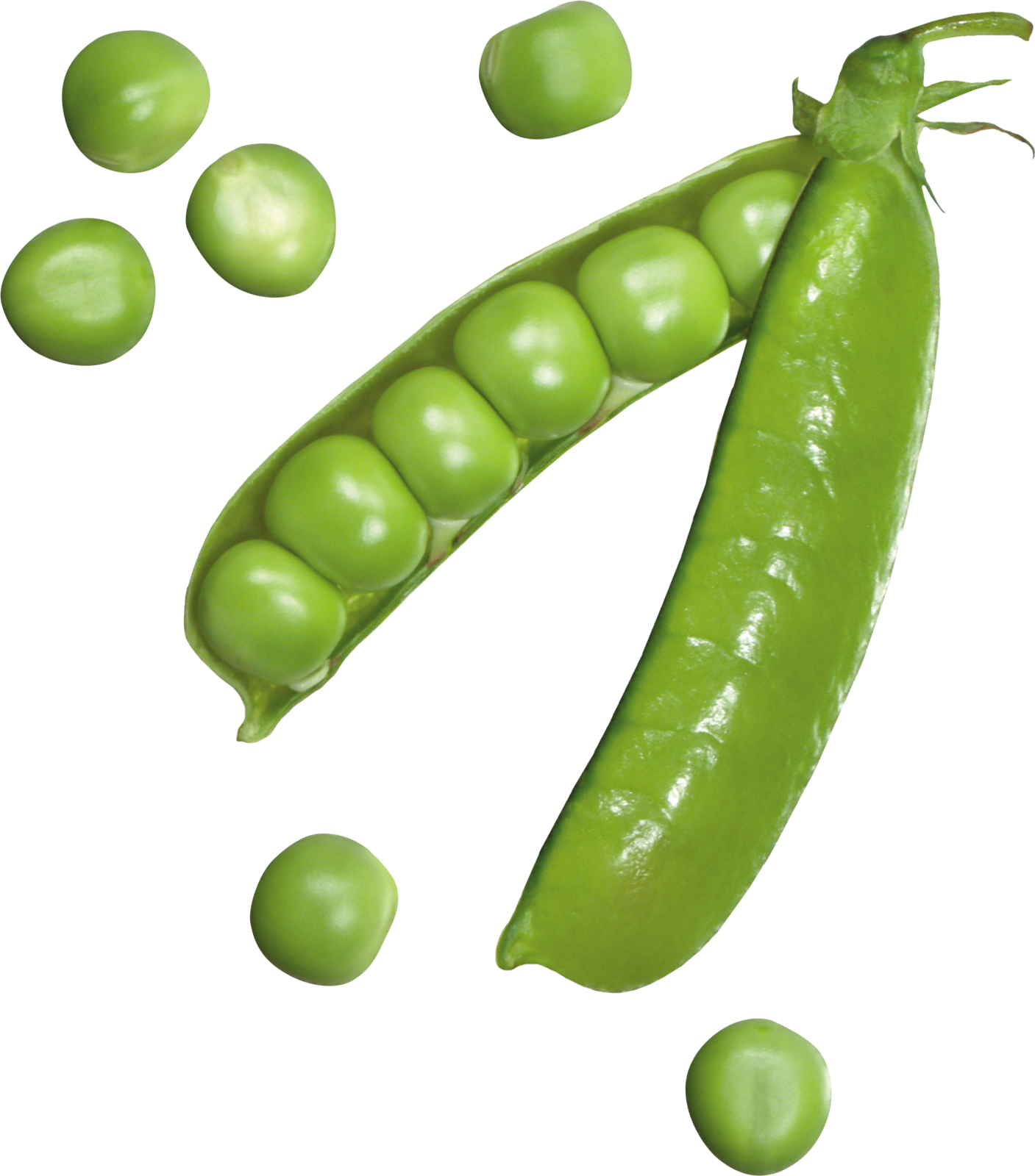 a green pea and peas on a white background