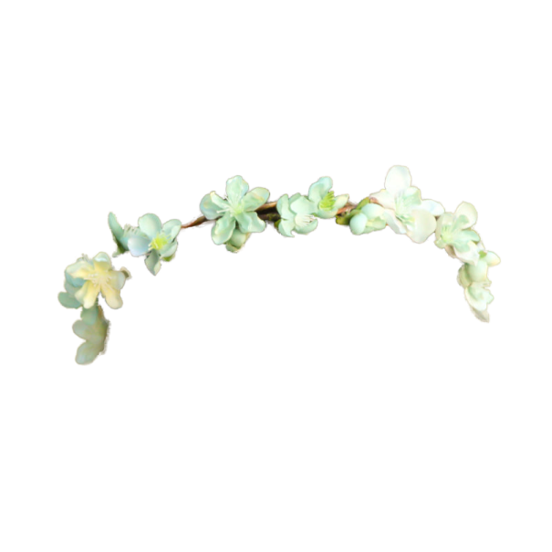 a white flower with green leaves on it