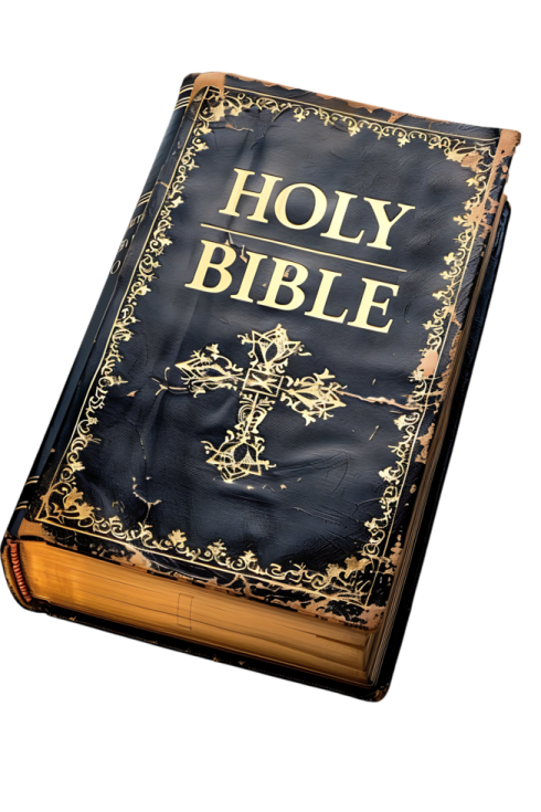 a black and gold book with the words joy be