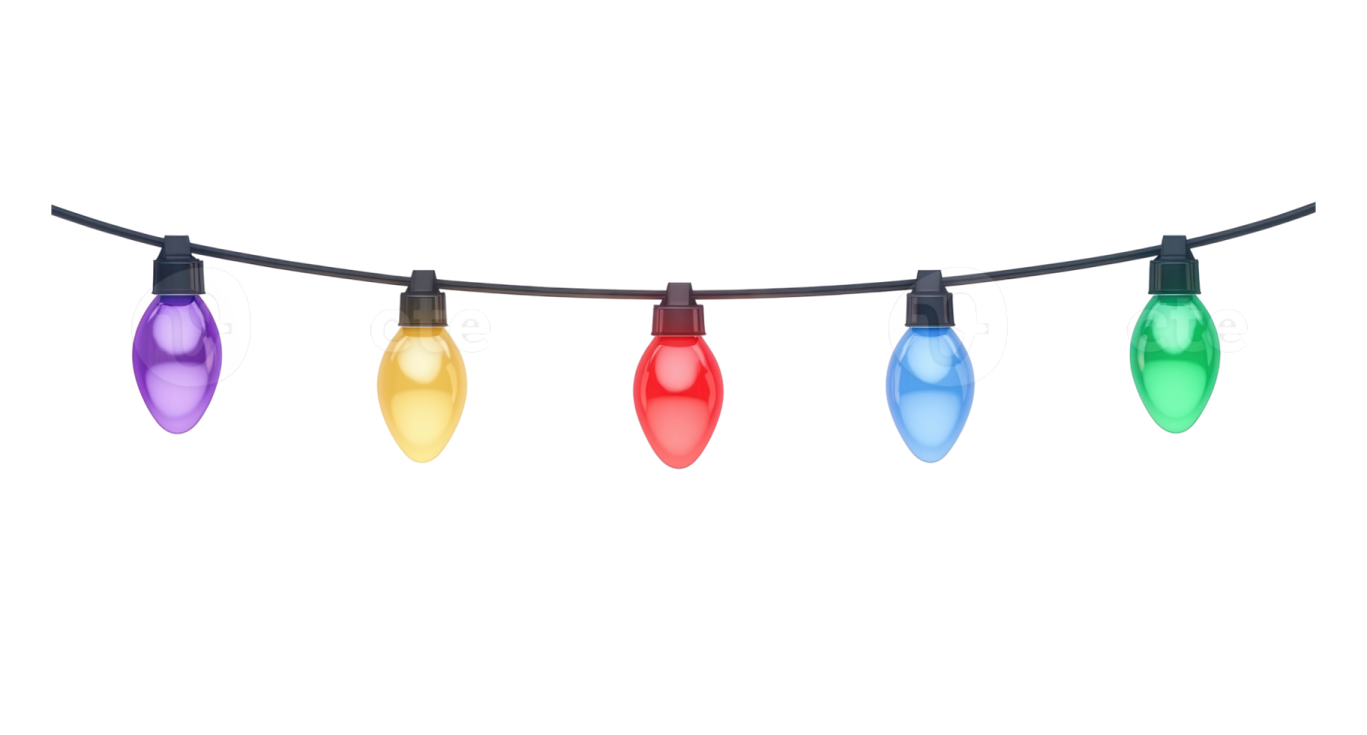 multi colored christmas lights on a black wire