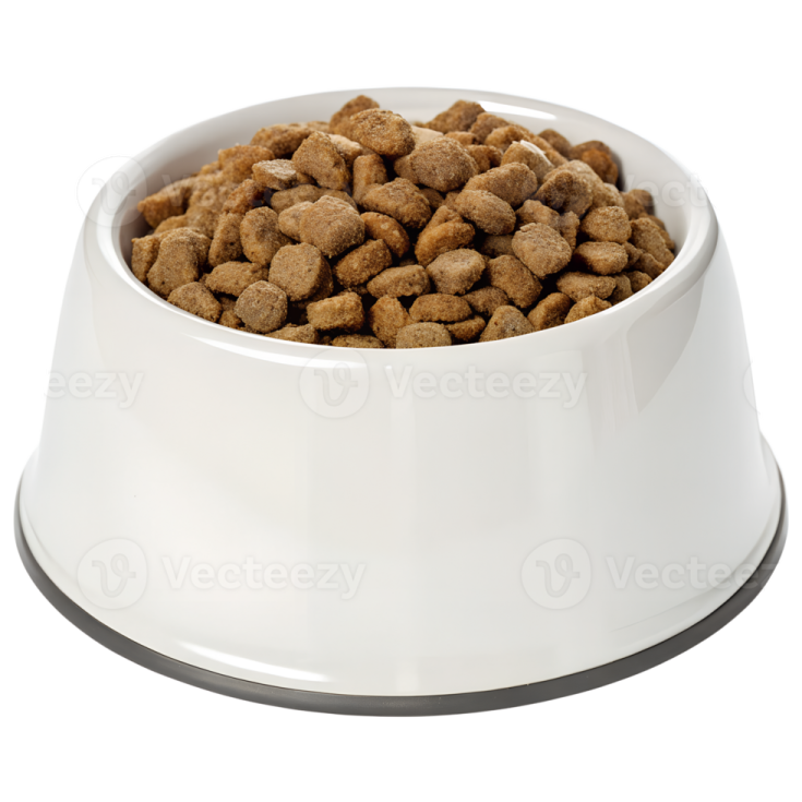 a white bowl filled with dry food