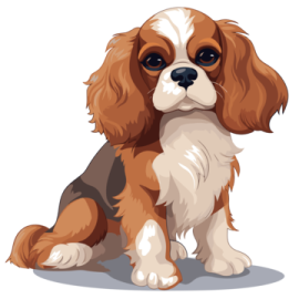 a brown and white dog sitting on the ground