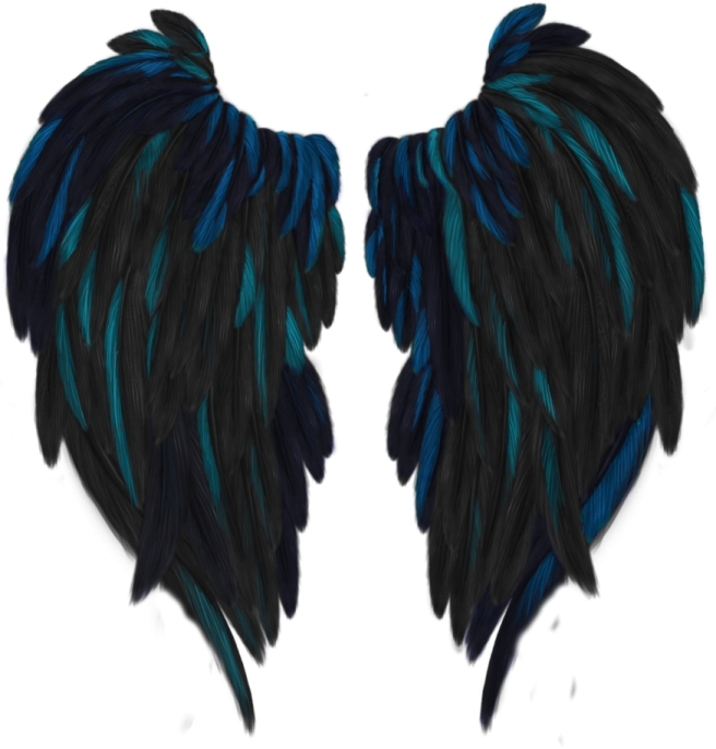 a pair of black and teal feathers