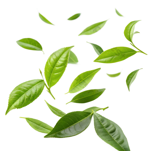 a bunch of green leaves flying in the air