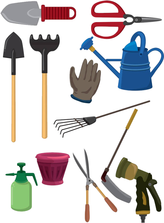 a collection of gardening tools