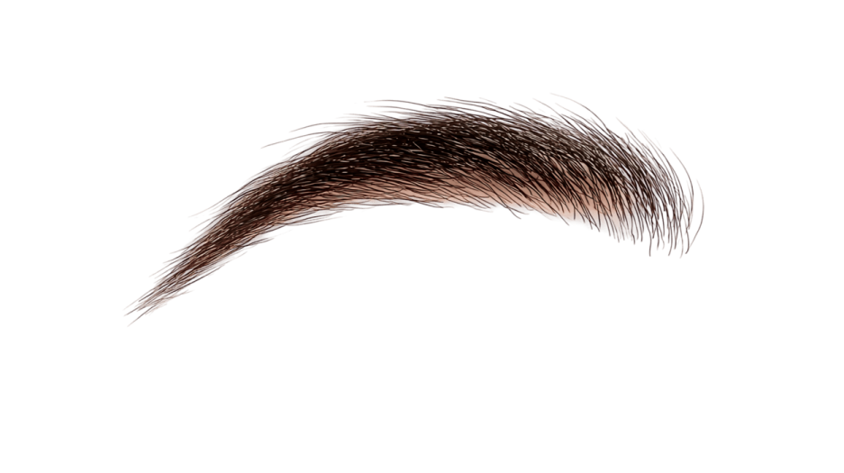 a close up view of a brown eyebrow