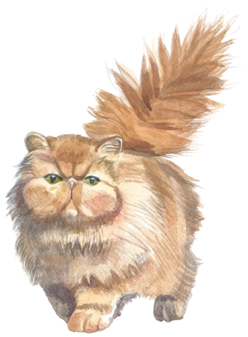 a watercolor painting of a cat