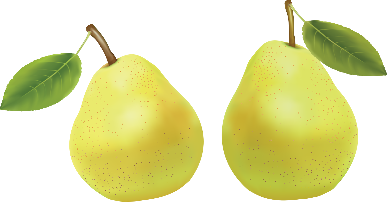 two pears with green leaves on them
