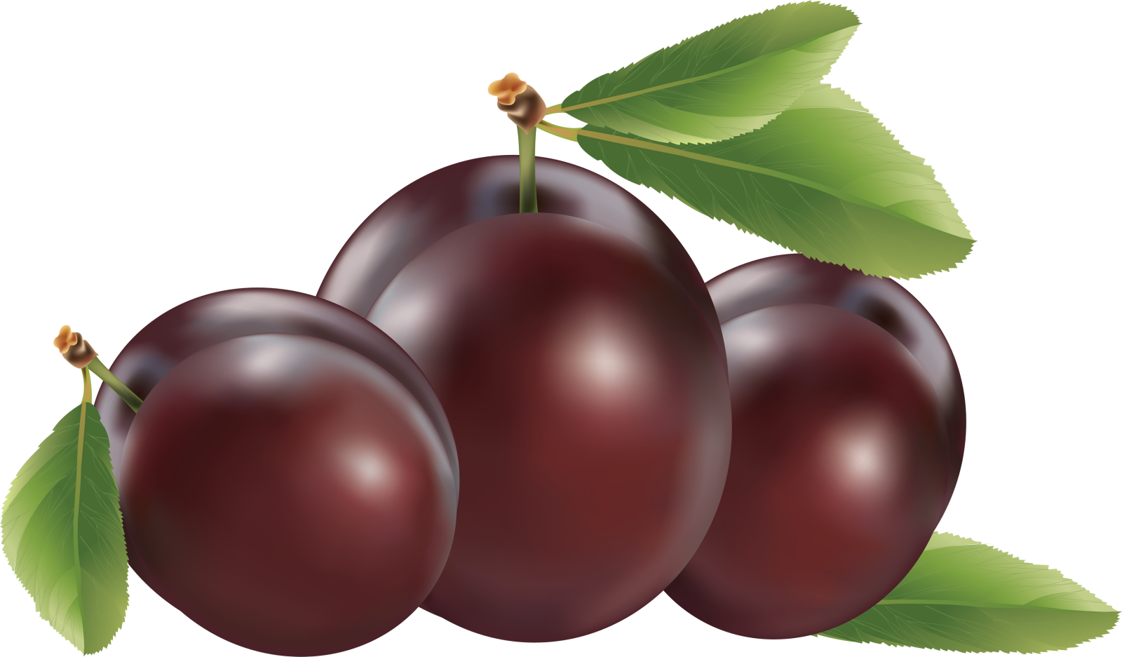 three plums with green leaves
