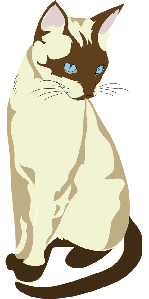 a brown and white cat with blue eyes