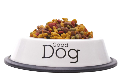 a white bowl filled with dog food