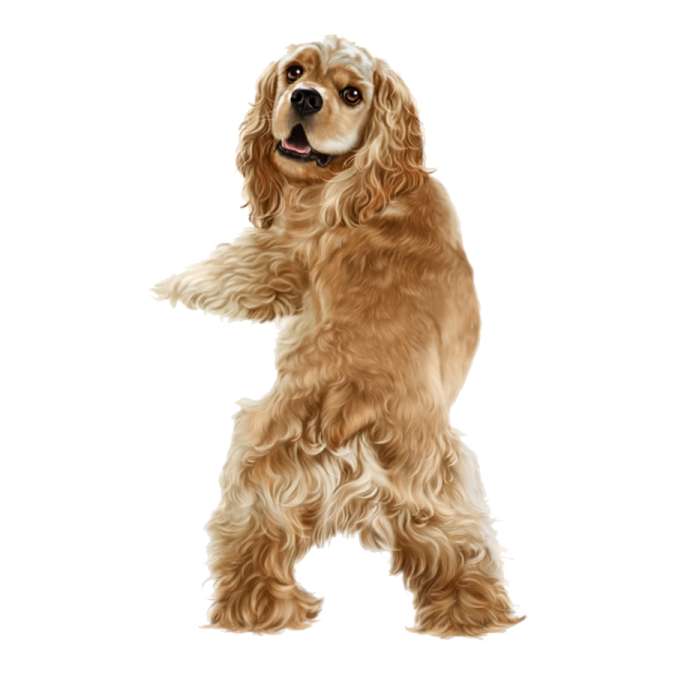 a brown and white dog standing on its hinds