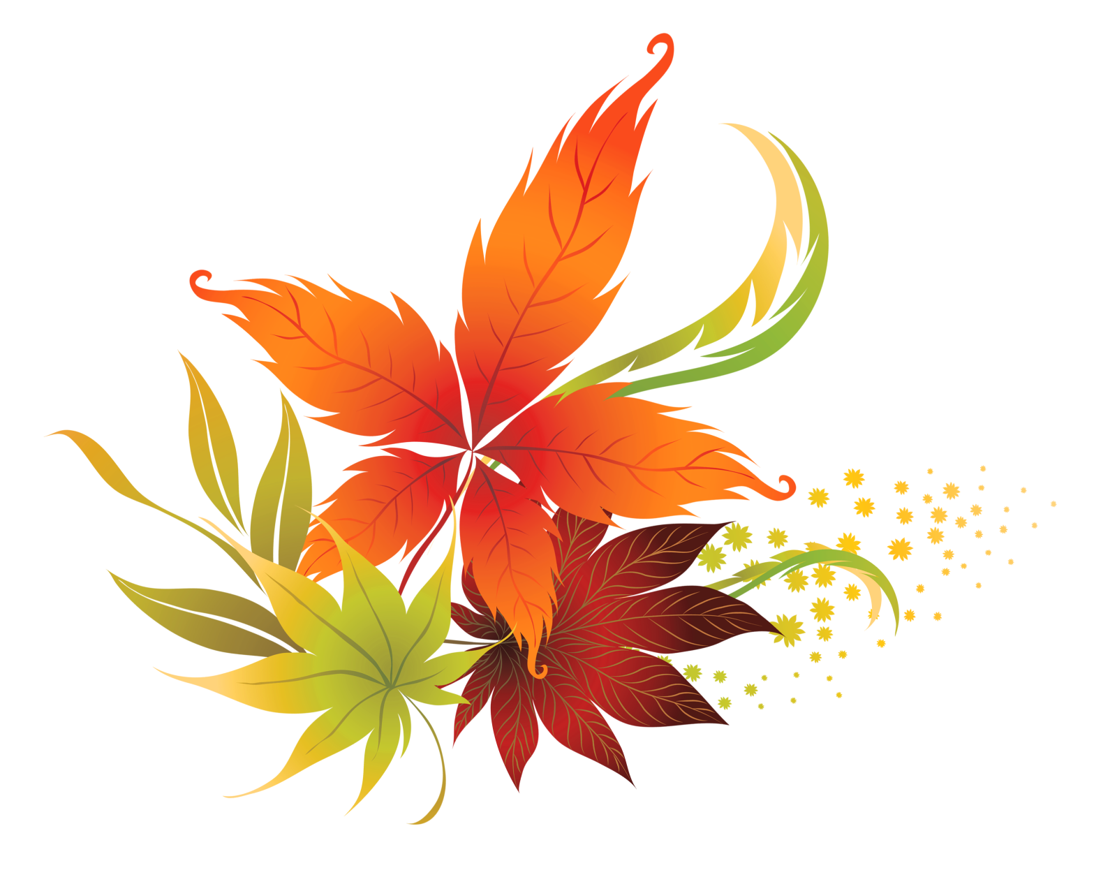 a bunch of autumn leaves on white background