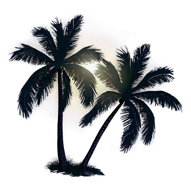 two palm trees on a white background
