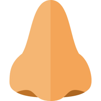 a pear on a white background